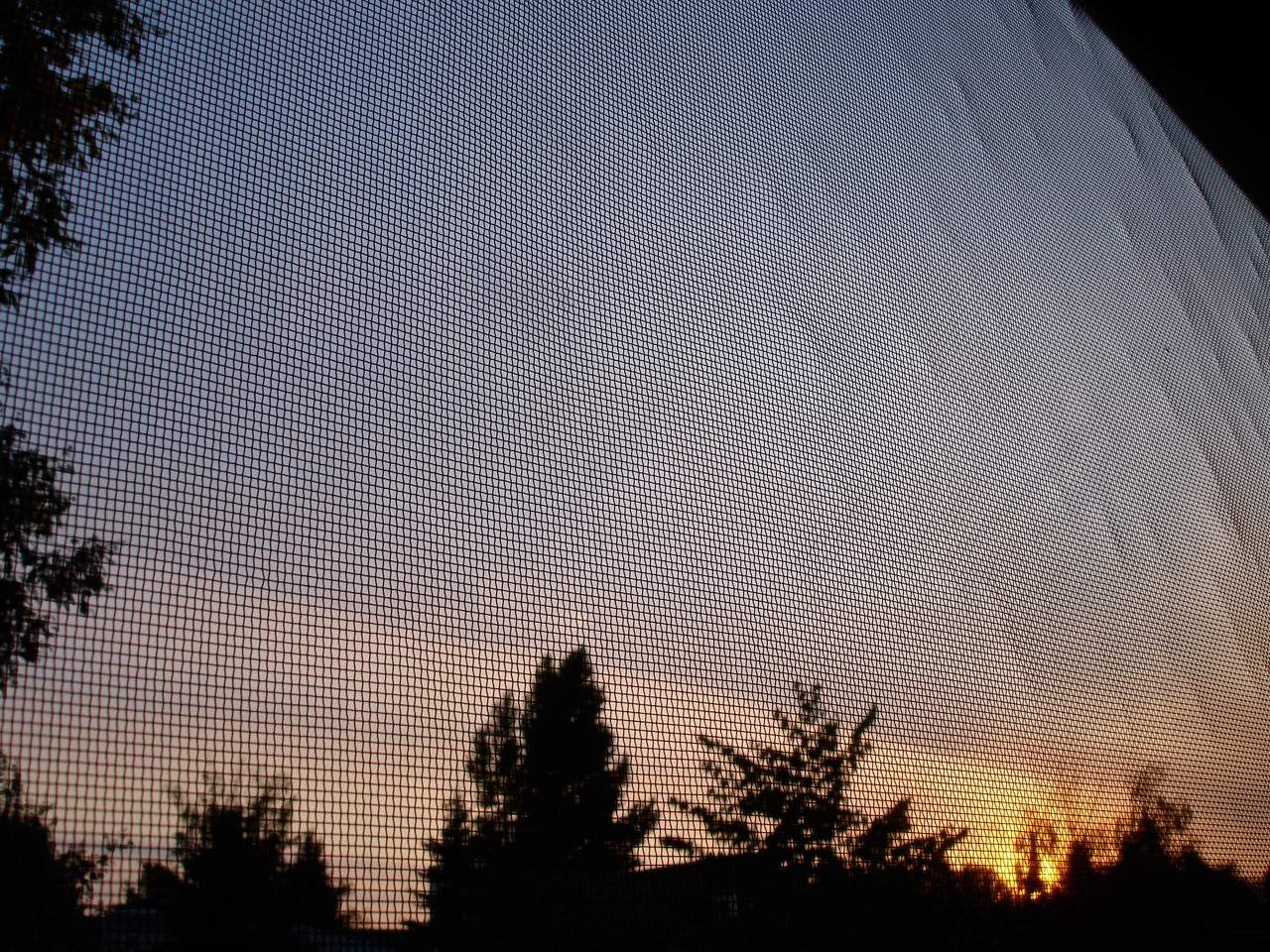 Close-up of ordinary woven window screen mesh, seen against a sunset; a biting midge passes straight through openings this size